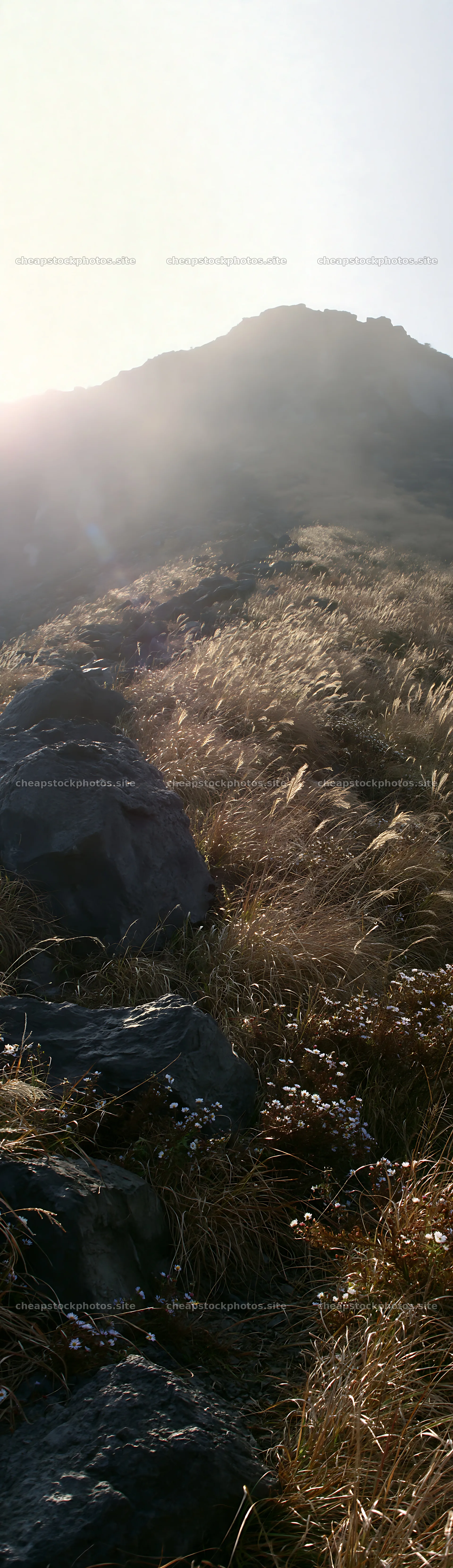 Kanagawa meadow with volcanic stones under sunlight – stock photos 4268x14762