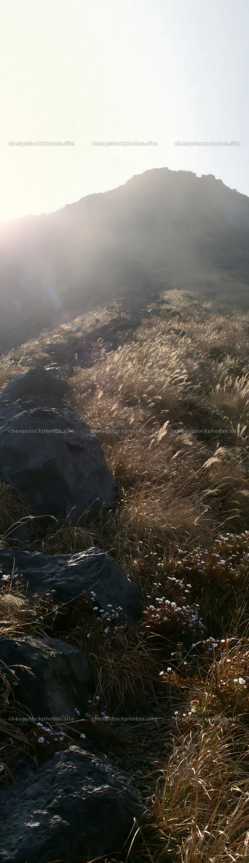 Kanagawa meadow with volcanic stones under sunlight – stock photos 4268x14762