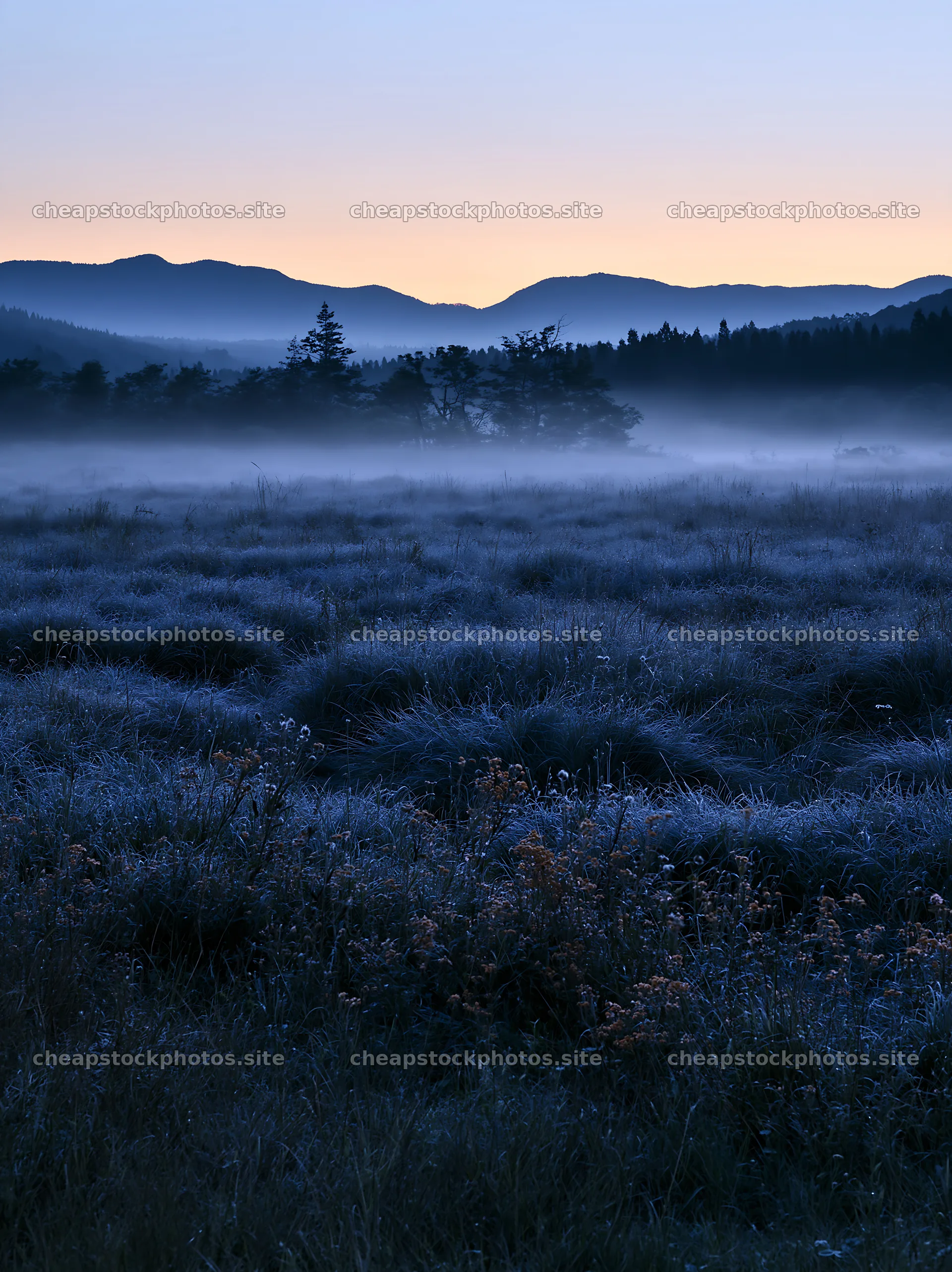 Miyazaki sunrise over meadow with dew covered sedges – stock photos 6866x9174