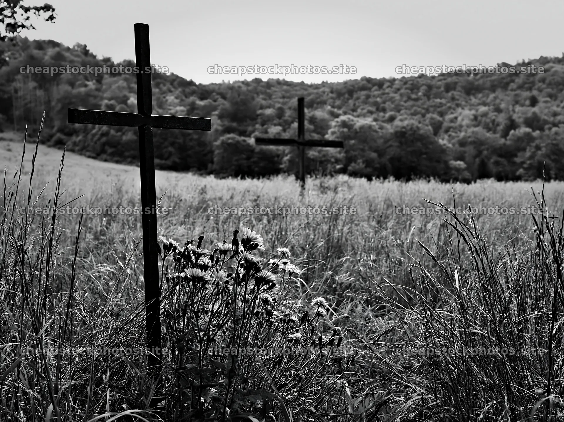 Simple Christian cross in quiet meadow – stock photos 9174x6866