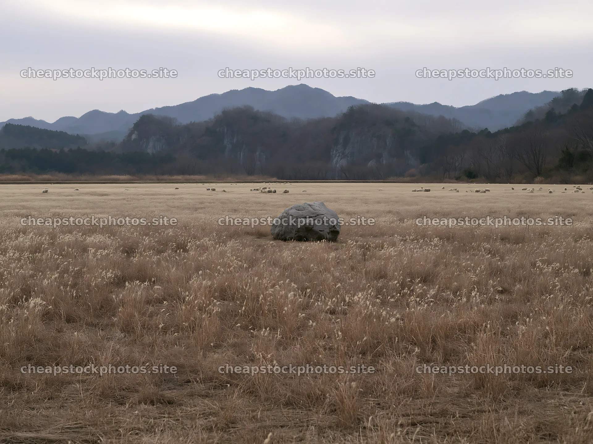 Yamaguchi limestone meadow features a large pale boulder – stock photos 9174x6866