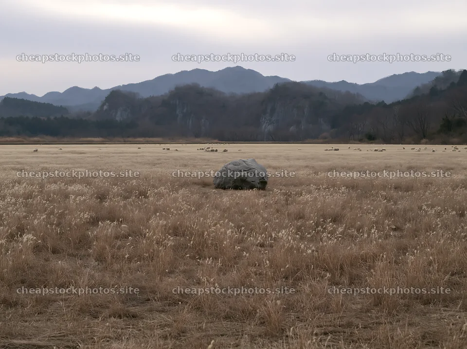 Yamaguchi limestone meadow features a large pale boulder – stock photos 9174x6866