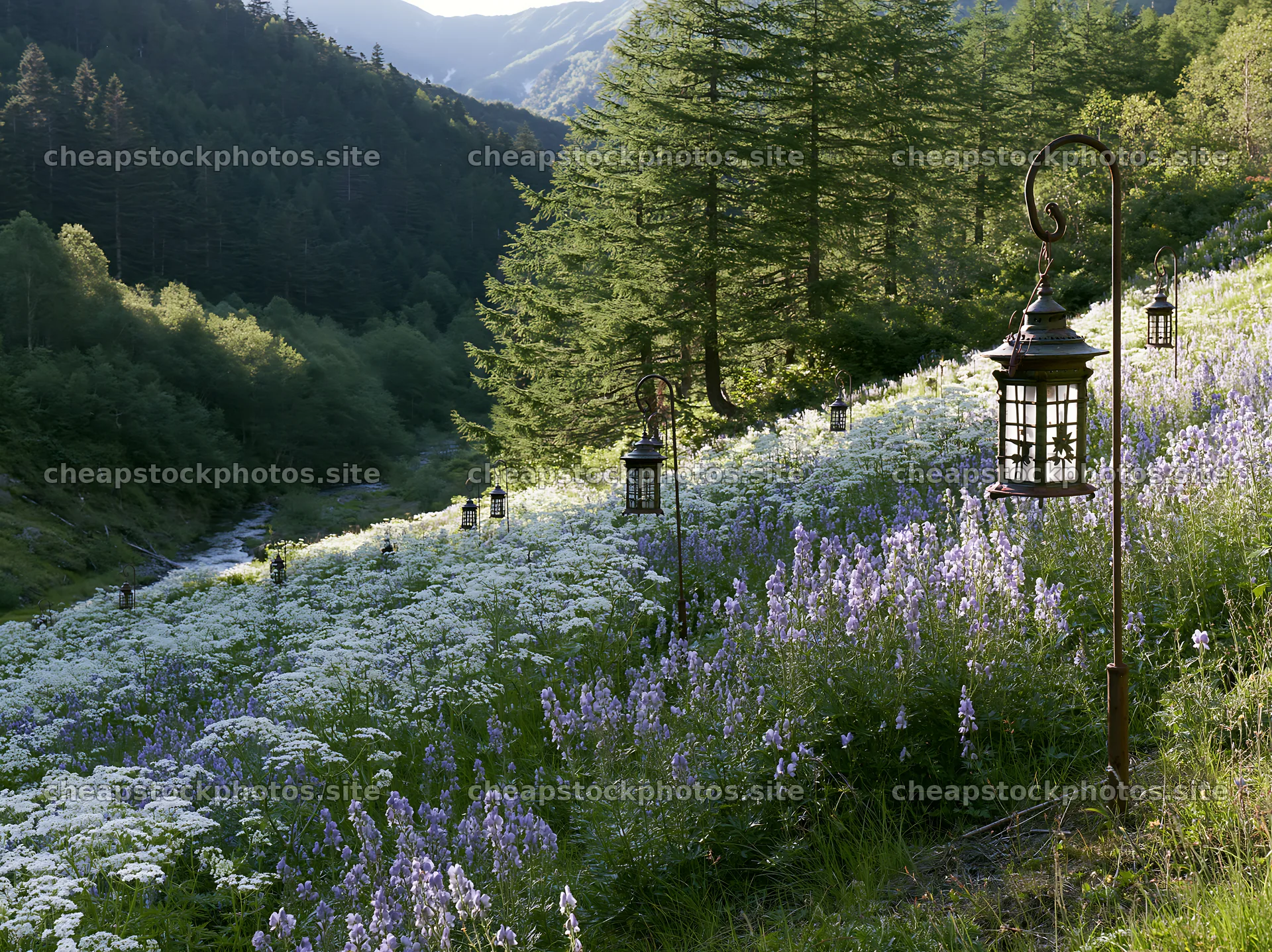 Christmas lanterns in deep mountain valley meadow – stock photos 9174x6866