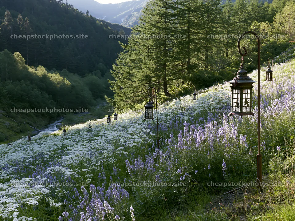 Christmas lanterns in deep mountain valley meadow – stock photos 9174x6866