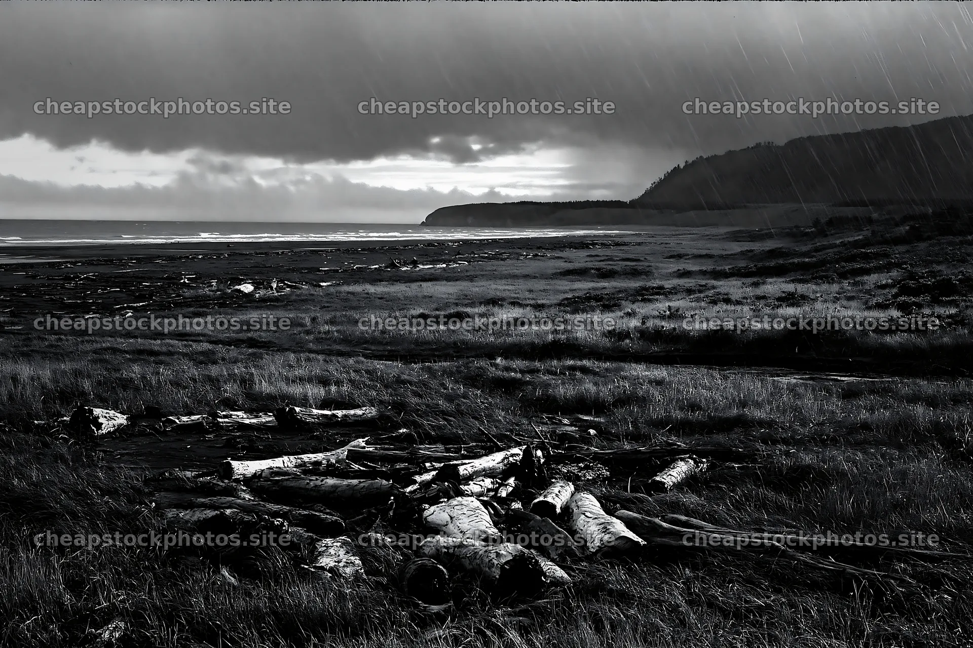 Ishikawa coastal meadow storm washed driftwood – stock photos 9722x6480