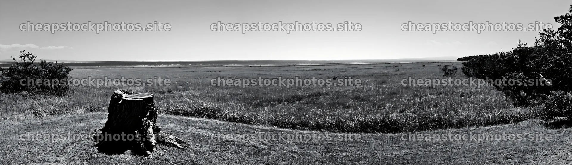 Fukushima native meadow with weathered stump in clear weather – stock photos 14762x4268