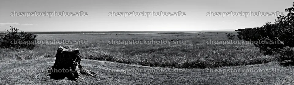 Fukushima native meadow with weathered stump in clear weather – stock photos 14762x4268