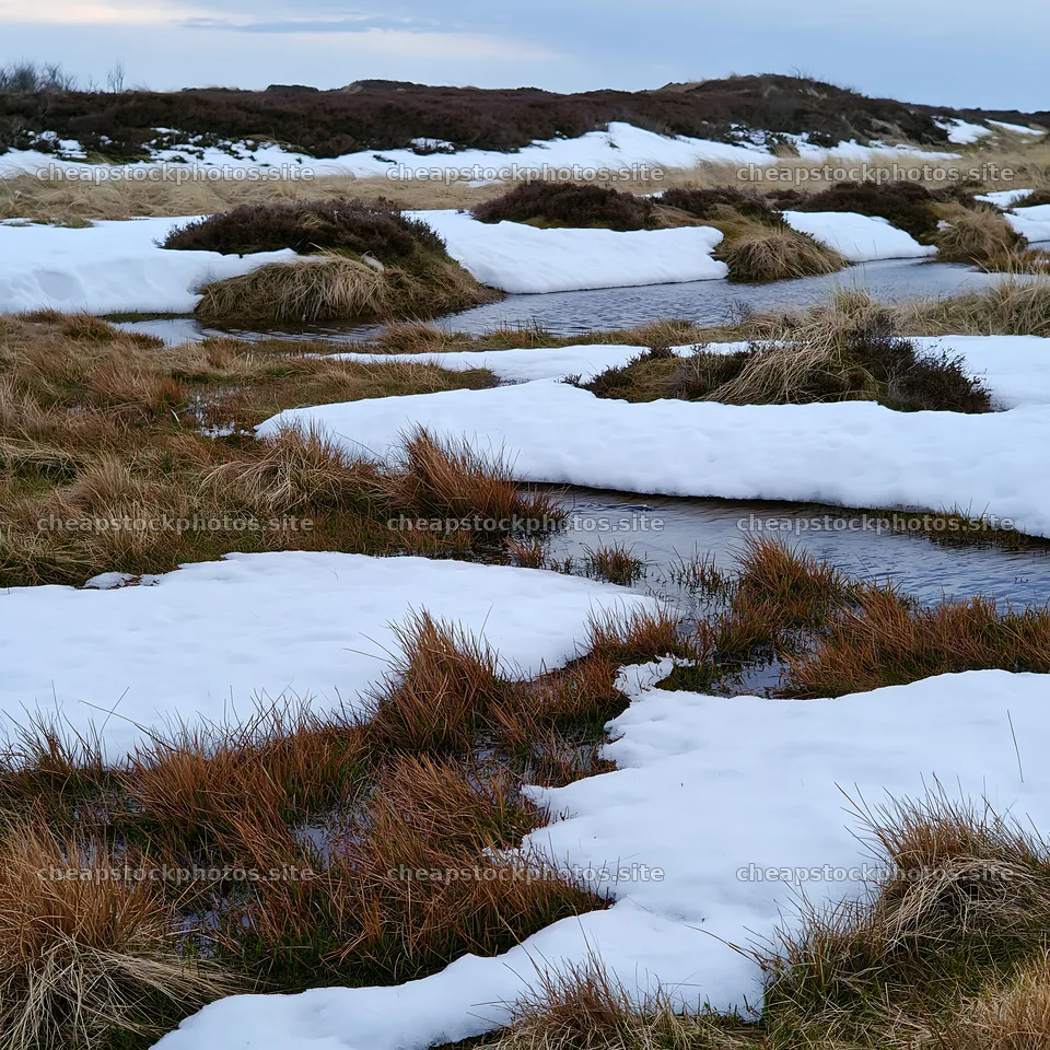 Dune meadow with snow and water in winter landscape – stock photos 7938x7938