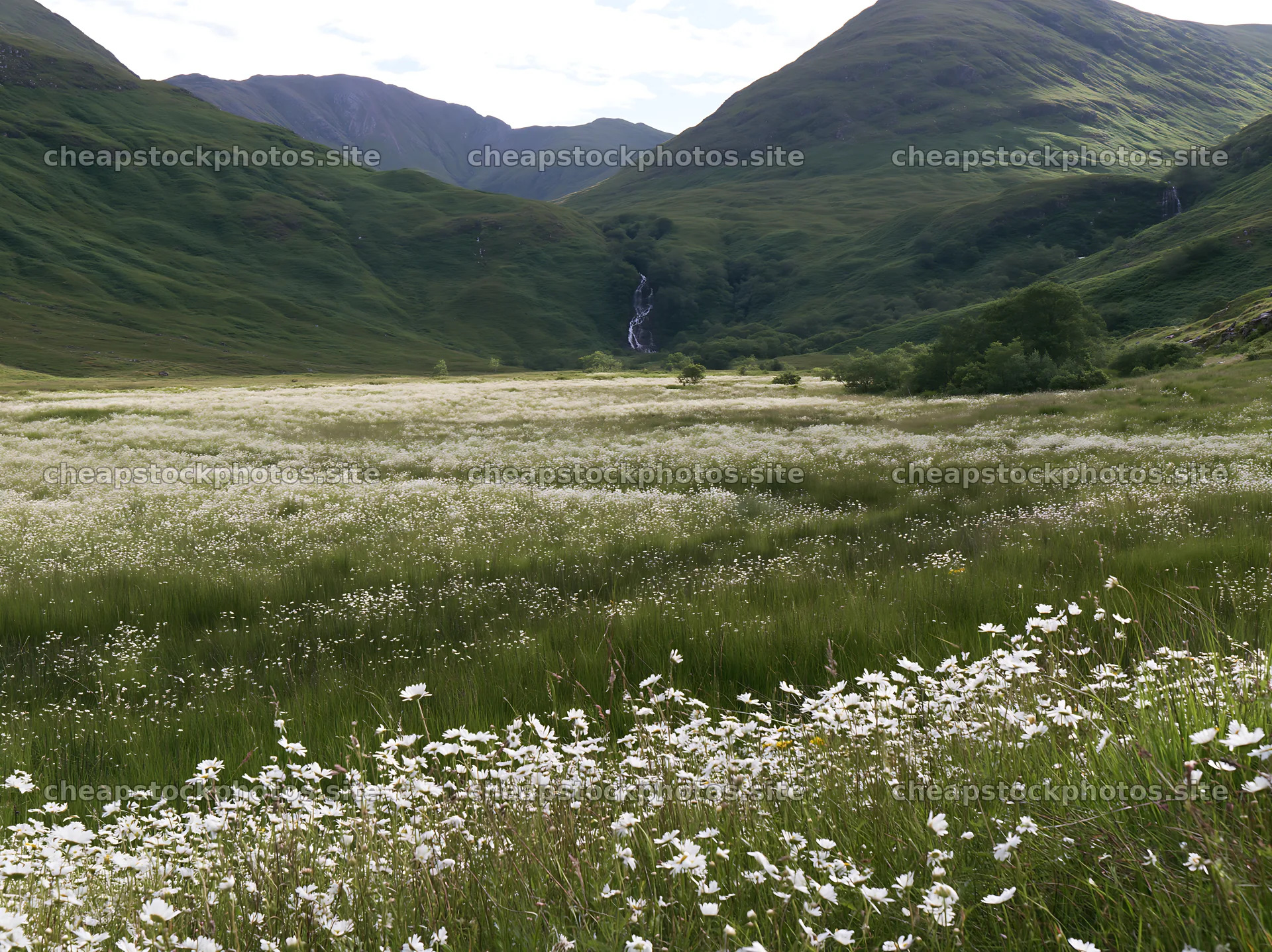 White wildflower meadow below waterfall in a green landscape – stock photos 9174x6866