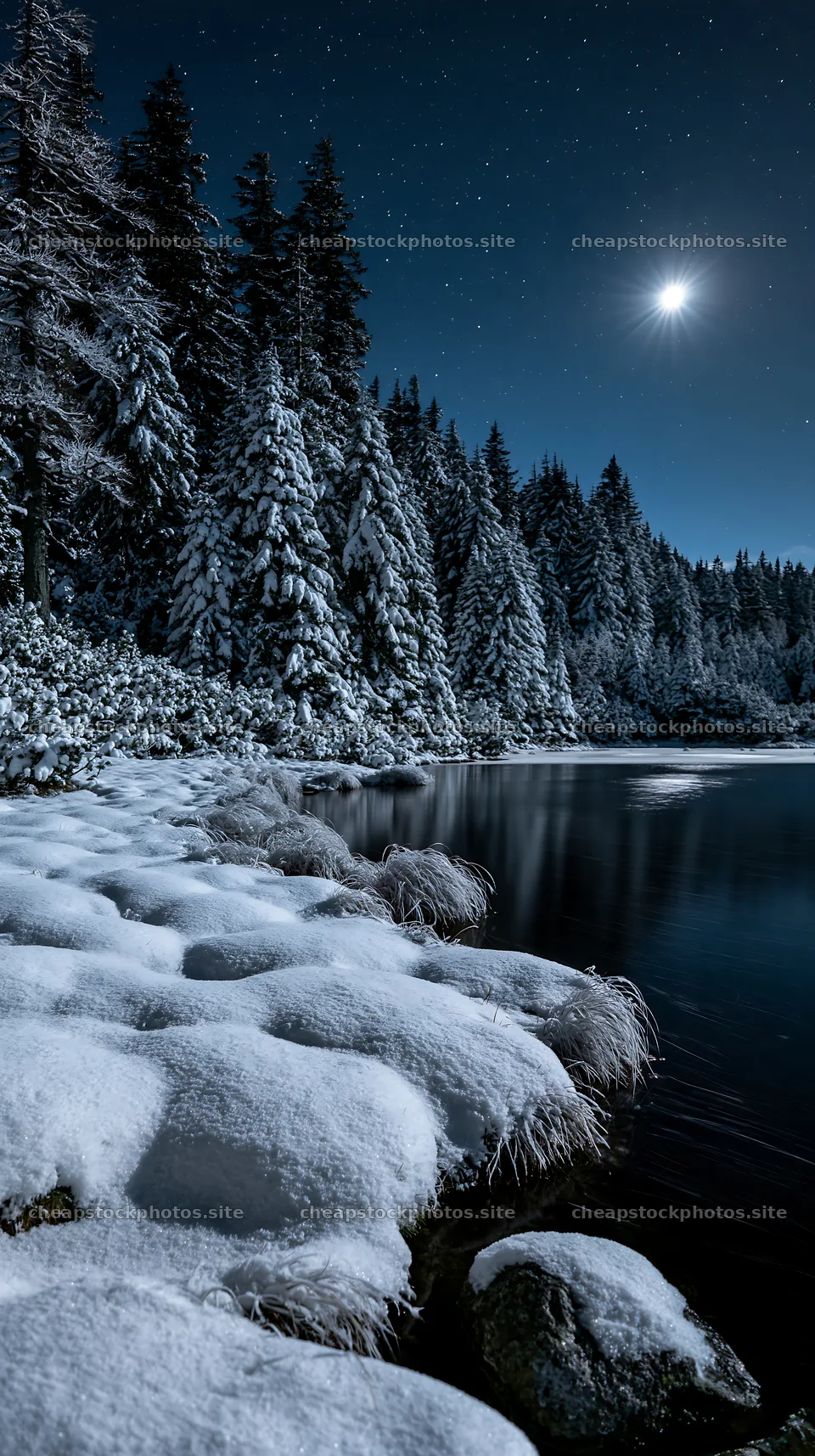 Snowy lakeside meadow under moonlight at night – stock photos 5938x10608