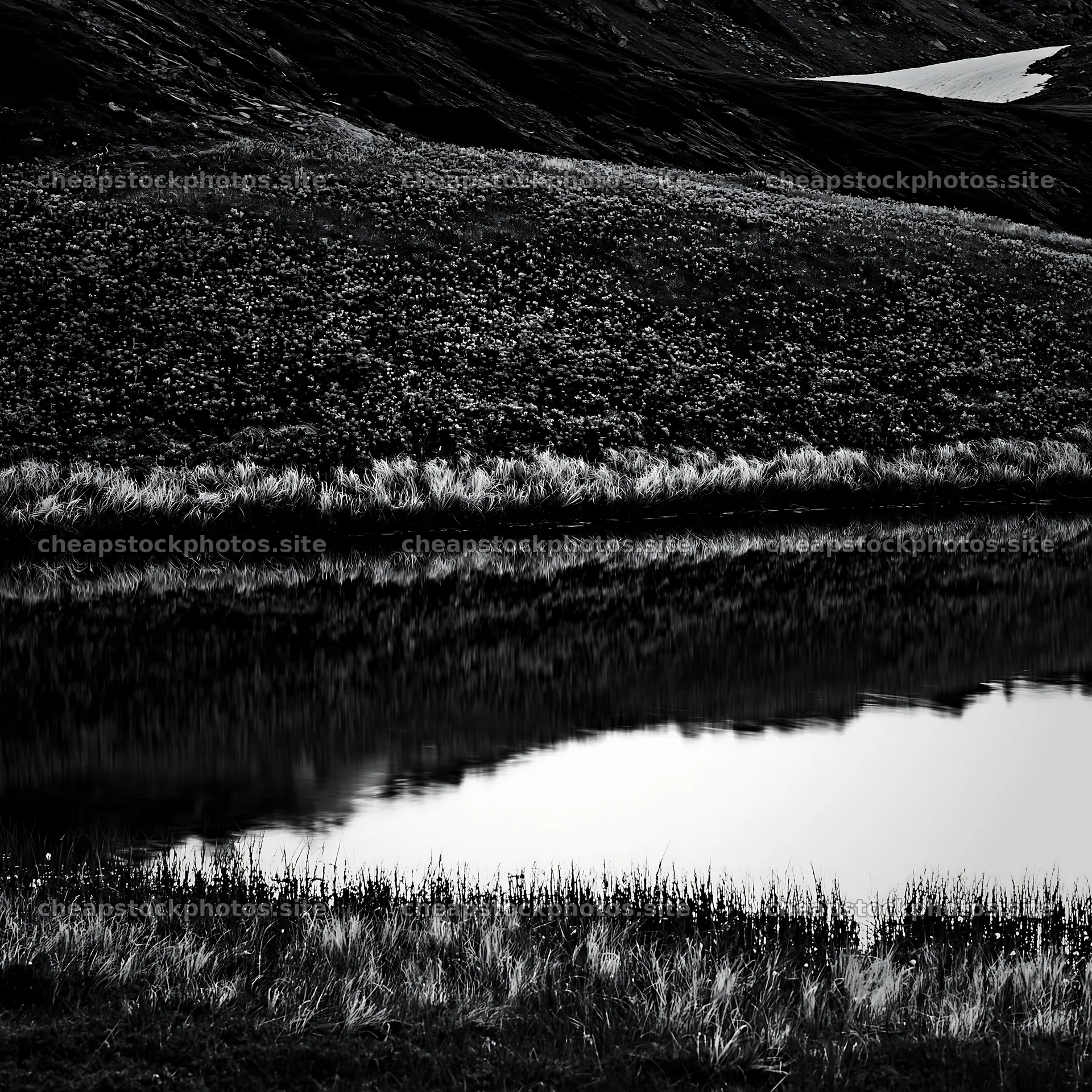 Swiss meadow beside alpine lake in black and white – stock photos 7938x7938