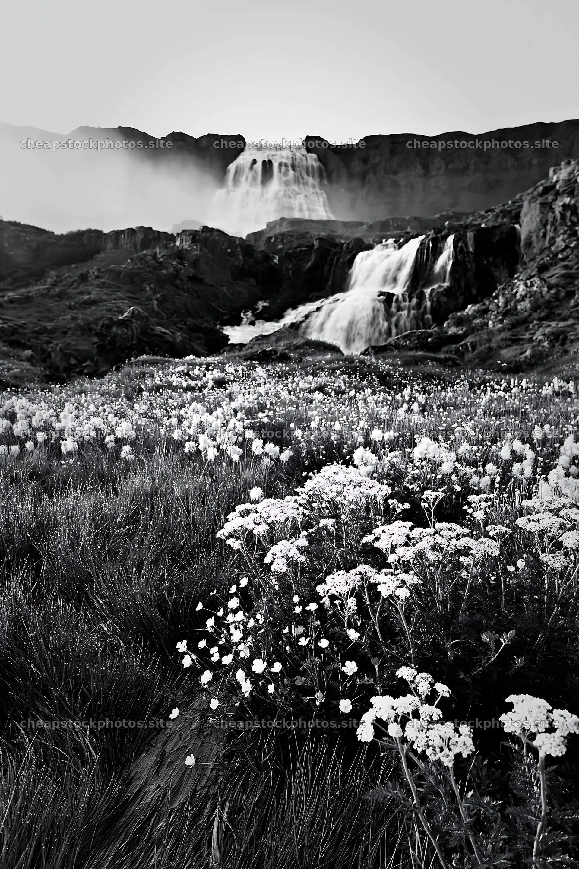 Waterfall in a meadow filled with summer wildflowers – stock photos 6480x9722