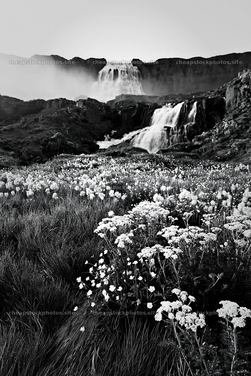 Waterfall in a meadow filled with summer wildflowers – stock photos 6480x9722