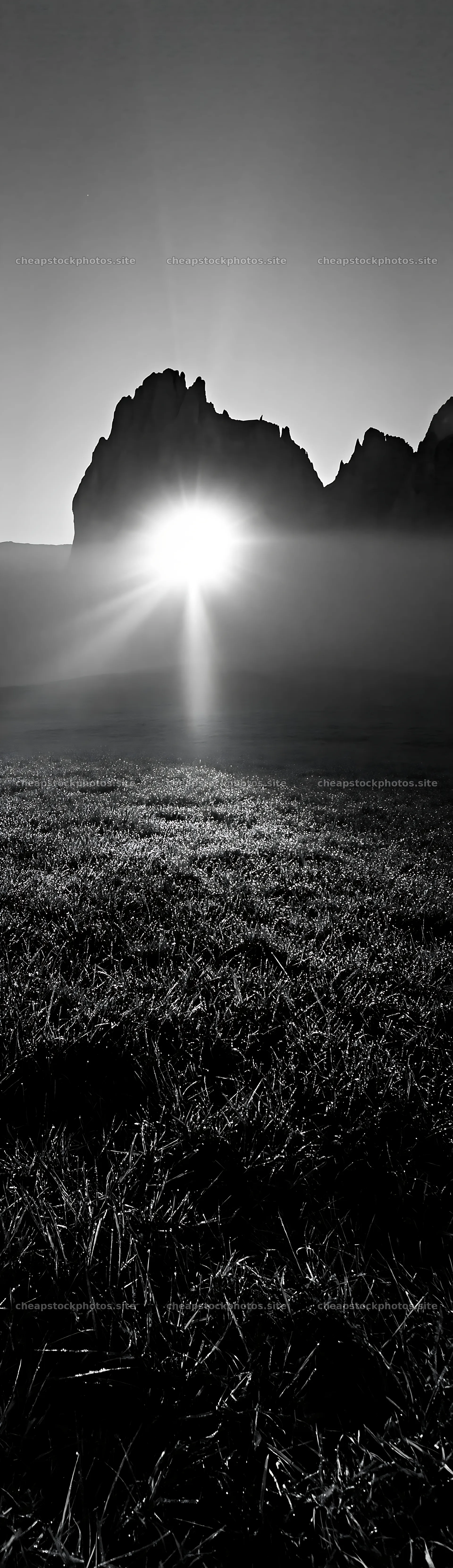 Sunbeams shining over Alpe di Siusi meadow at dawn – stock photos 4268x14762