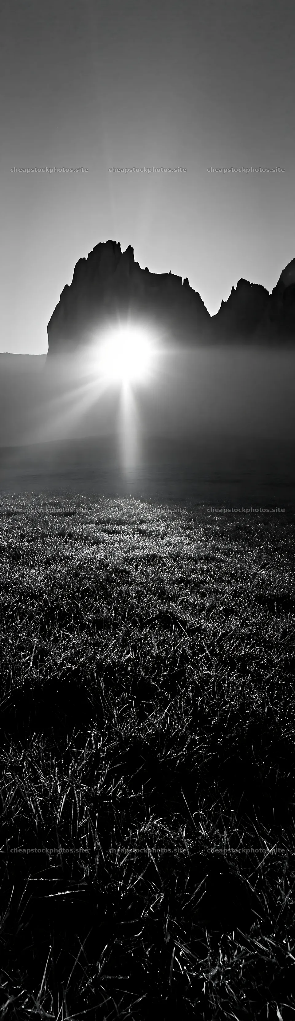 Sunbeams shining over Alpe di Siusi meadow at dawn – stock photos 4268x14762