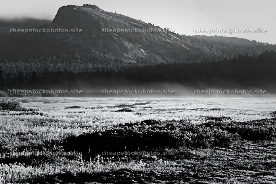 Rainwashed meadow with mountains in the background – stock photos 9722x6480