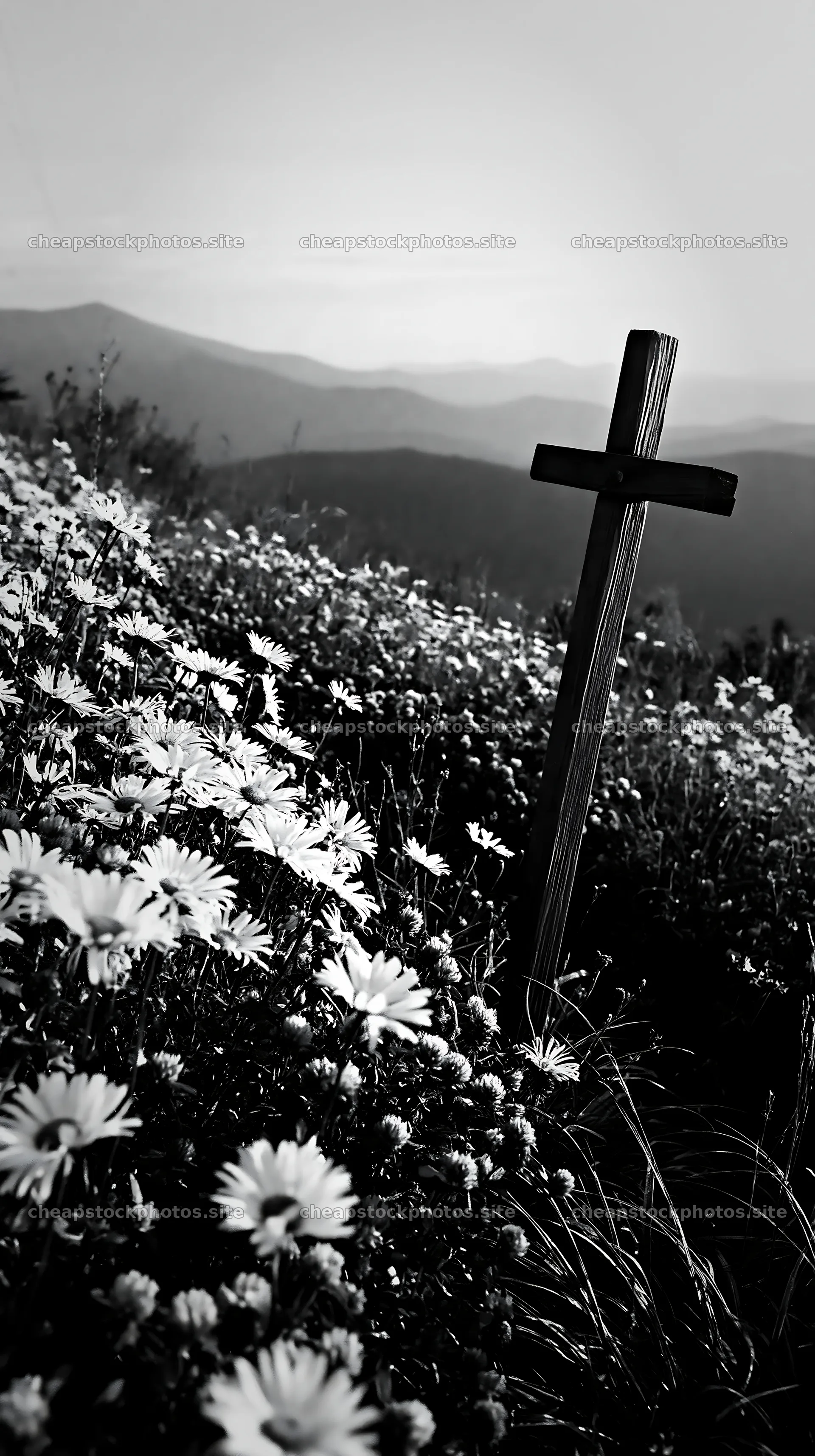 Christian cross in mountain meadow with flowers – stock photos 5938x10608
