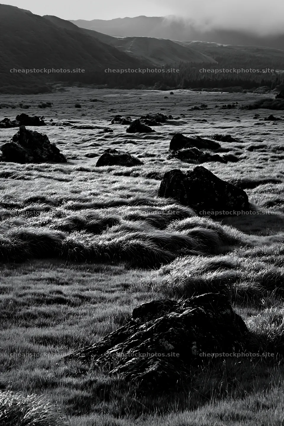 Restored Kumamoto silver grass meadow boulders – stock photos 6480x9722