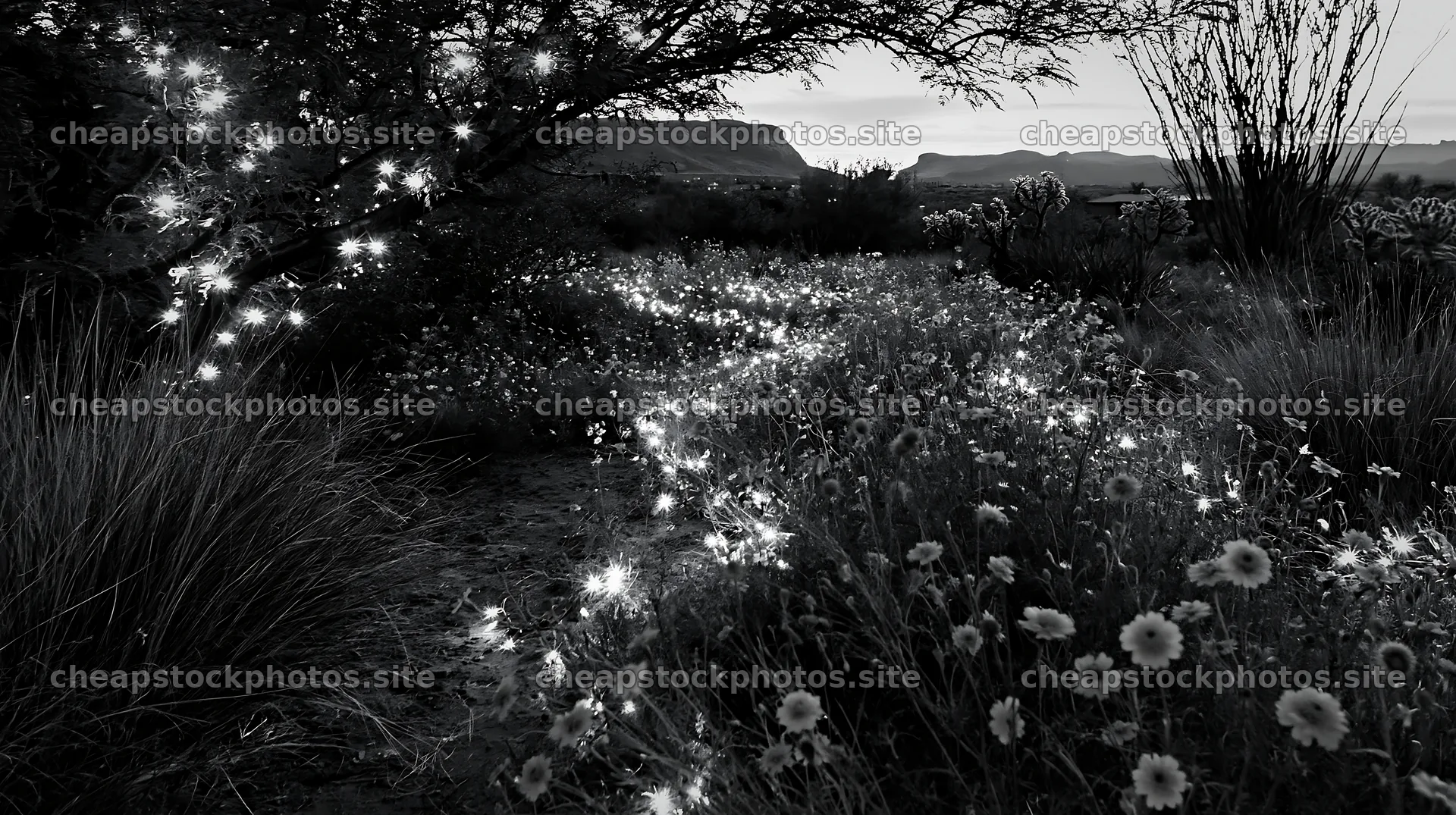 Christmas meadow with drought tolerant stems and garland – stock photos 10608x5938