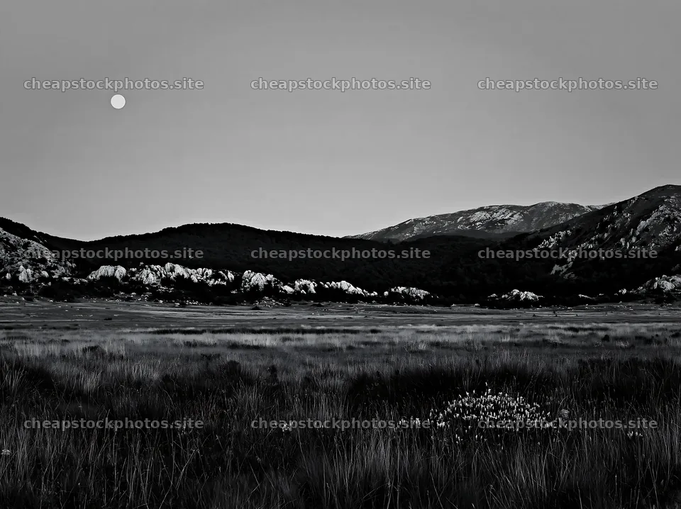 Moonrise over a meadow with distant mountains – stock photos 9174x6866