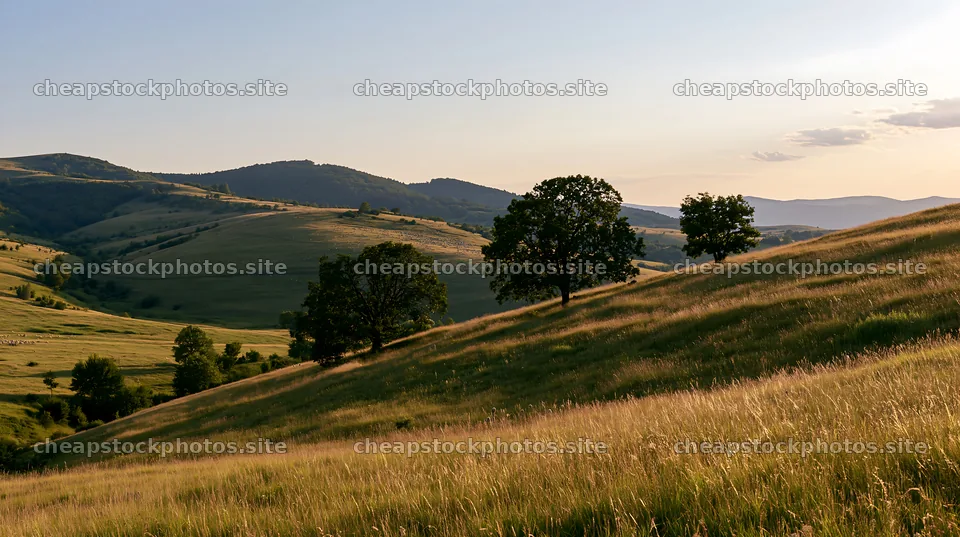 Transylvania summer meadows with trees and hills – stock photos 10608x5938