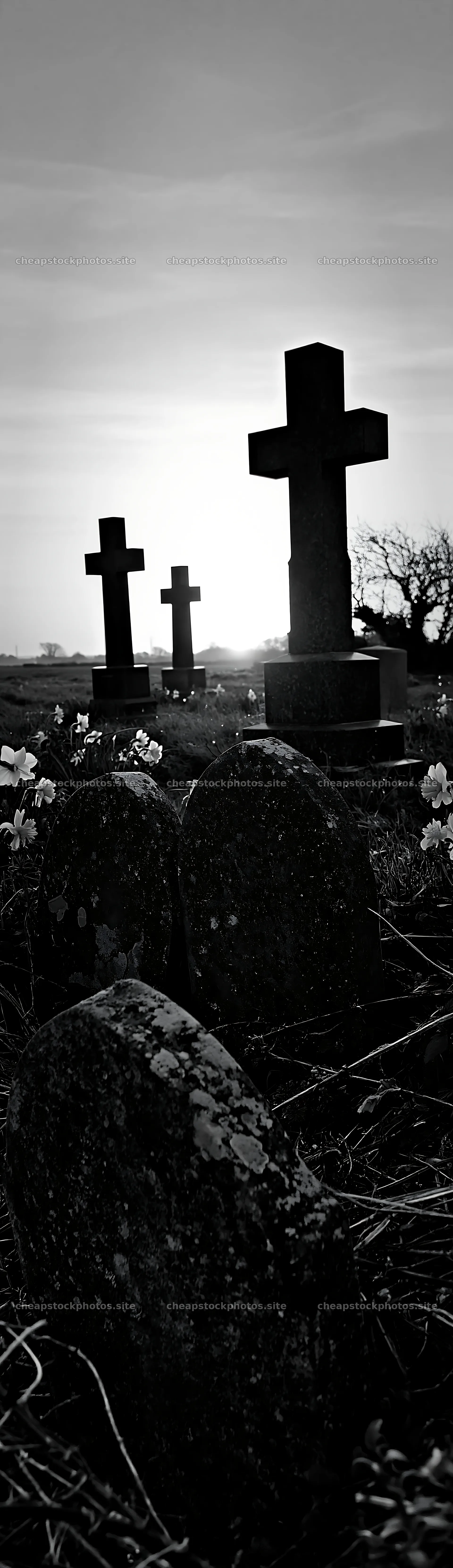 Three Christian crosses at sunrise in a Christmas meadow – stock photos 4268x14762