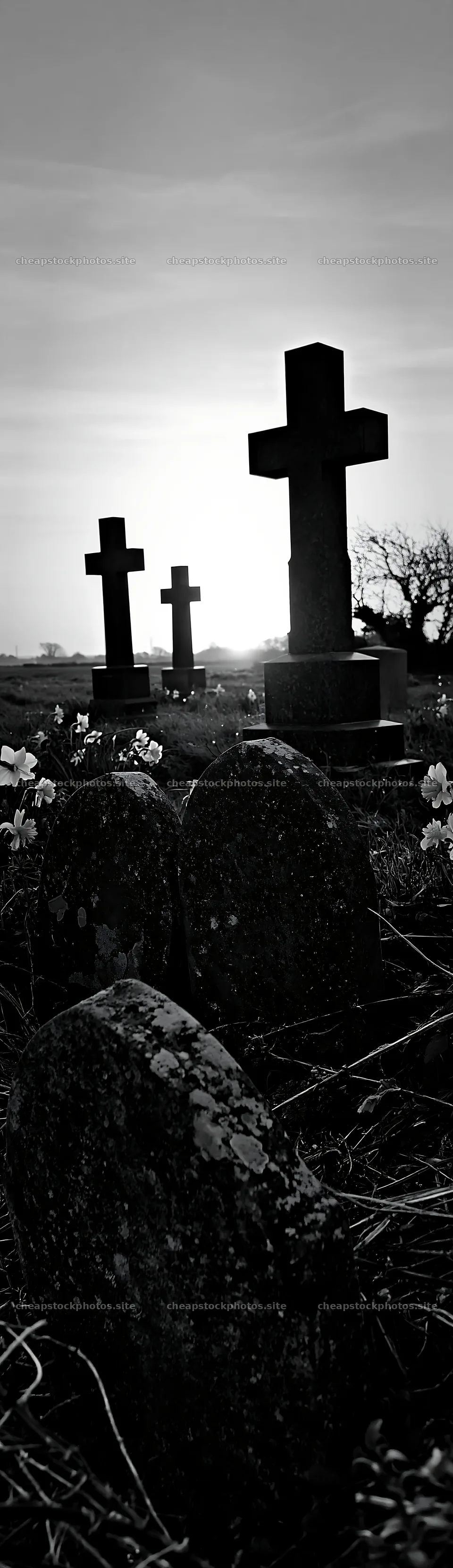 Three Christian crosses at sunrise in a Christmas meadow – stock photos 4268x14762
