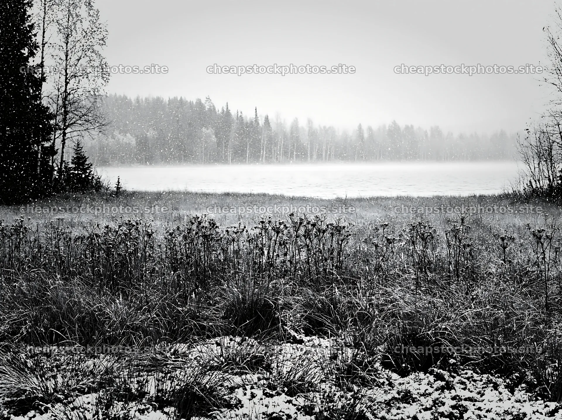Lakeside meadow after first snowfall with light snow falling – stock photos 9174x6866