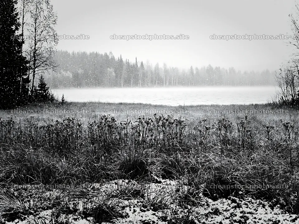 Lakeside meadow after first snowfall with light snow falling – stock photos 9174x6866