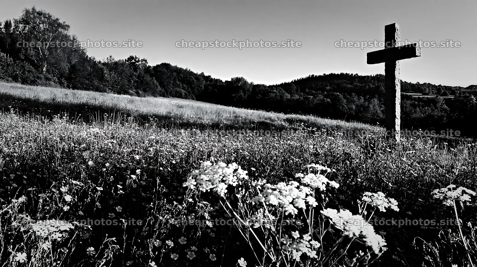 Christian cross in a morning meadow with wildflowers – stock photos 10608x5938