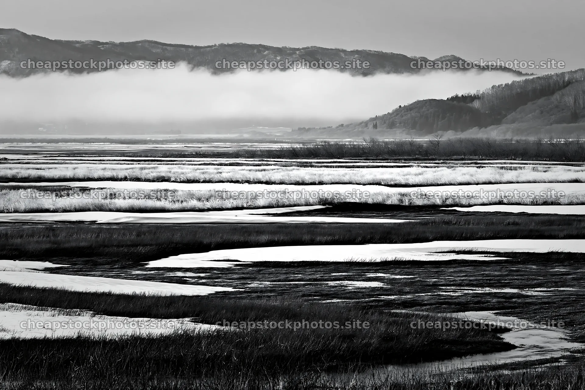 Akita snowmelt meadow with silver grasses in spring setting – stock photos 9722x6480
