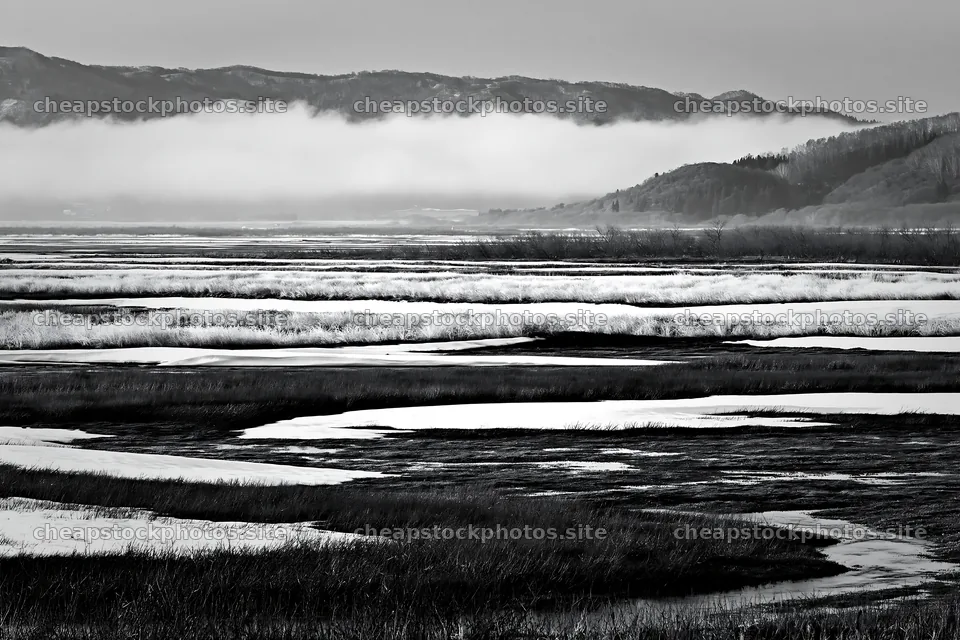 Akita snowmelt meadow with silver grasses in spring setting – stock photos 9722x6480