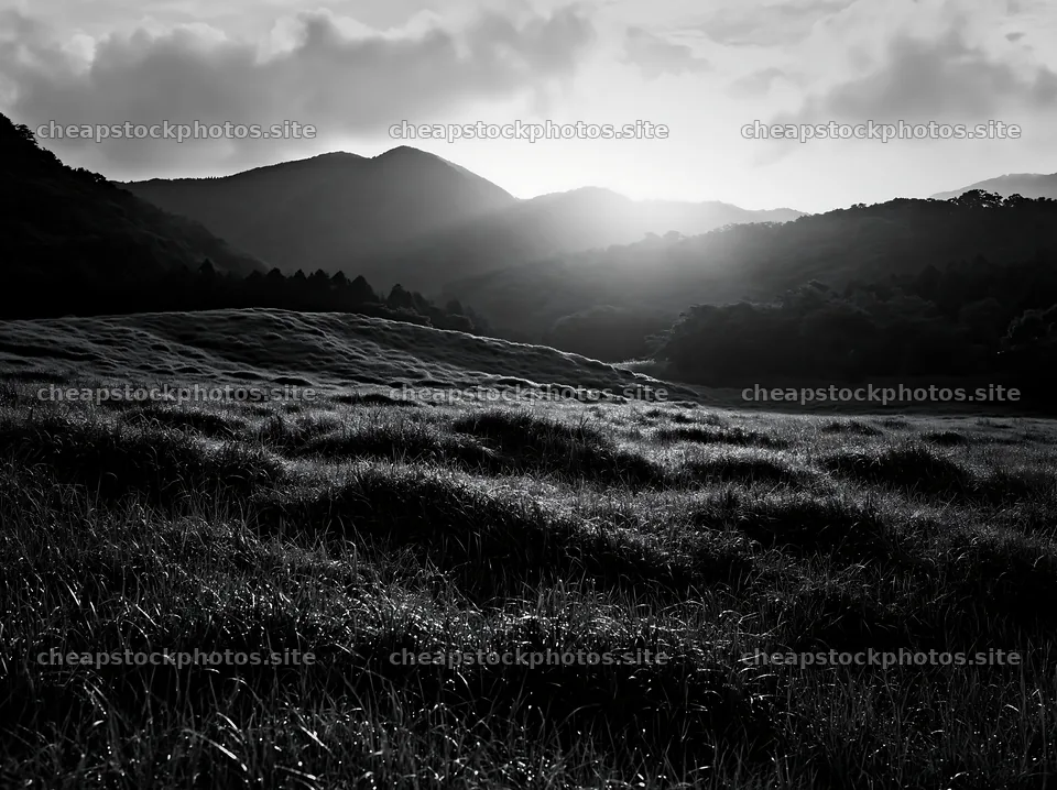 Miyazaki sunrise over meadow with dew covered sedges – stock photos 9174x6866