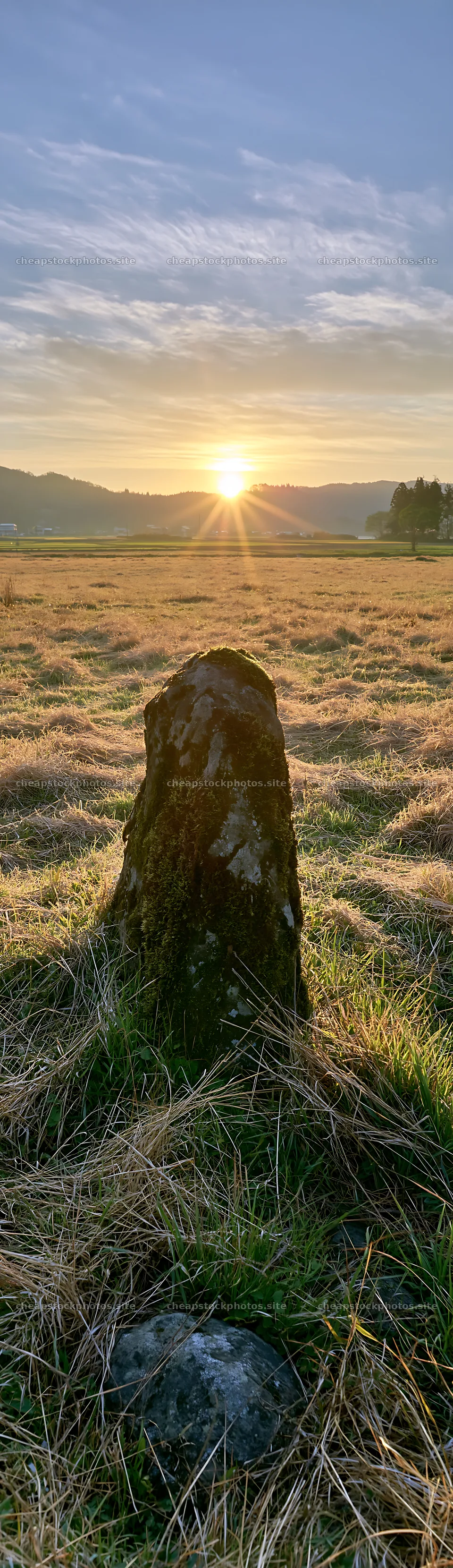 Miyagi spring recovery meadow mossy stone at sunrise – stock photos 4268x14762