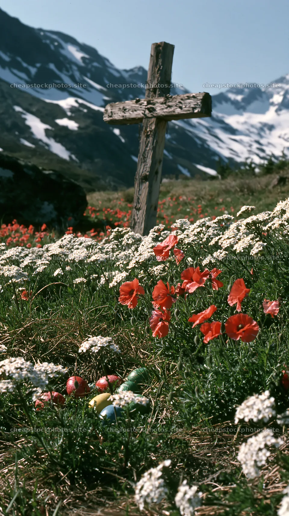 Weathered Christian cross in snowy meadow with flowers – stock photos 5938x10608