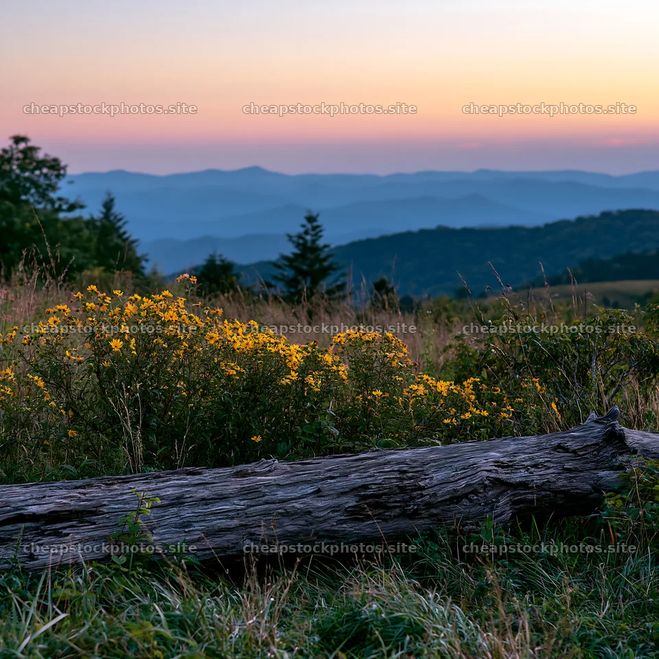 Weathered log meadow at sunset with distant mountains – stock photos 7938x7938