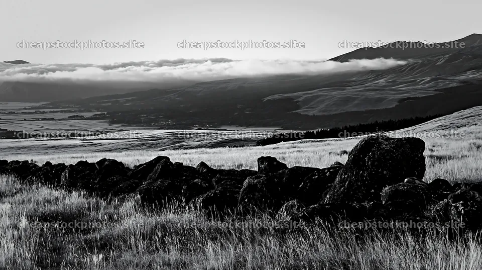 Restored Kumamoto silver grass meadow with boulders – stock photos 10608x5938
