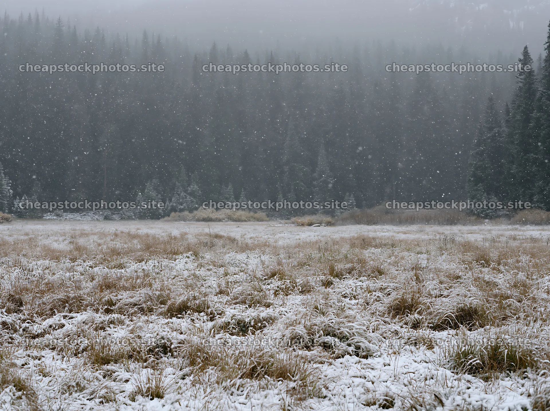 Snowy Rocky Mountain Park meadow in winter weather – stock photos 9174x6866