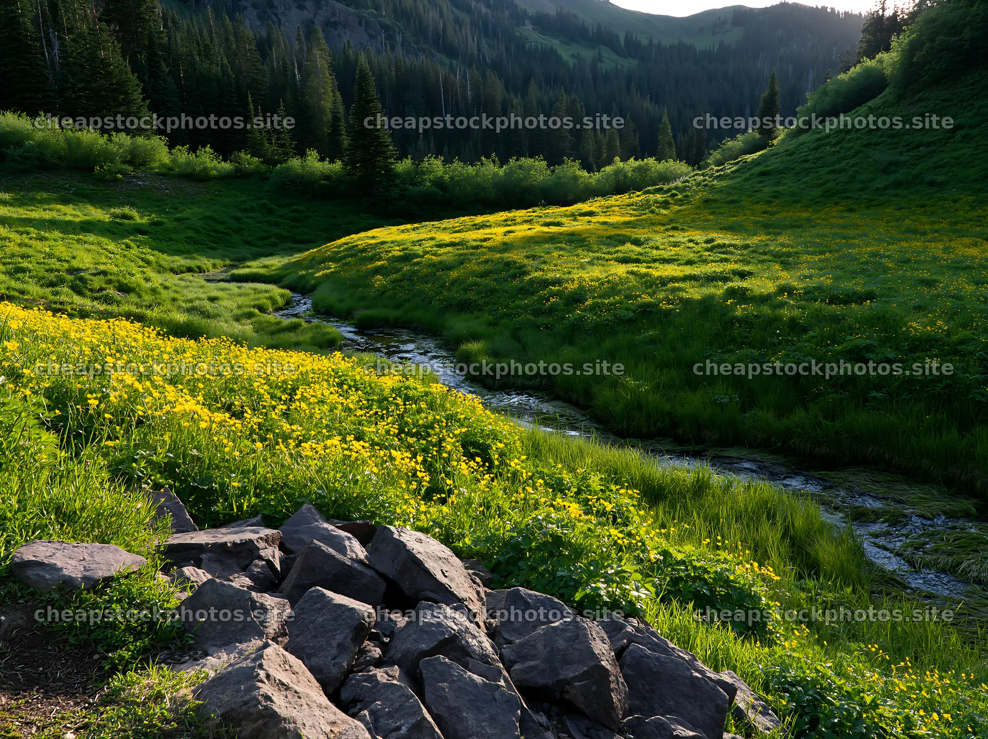 High contrast meadow with stream in mountain landscape – stock photos 9174x6866