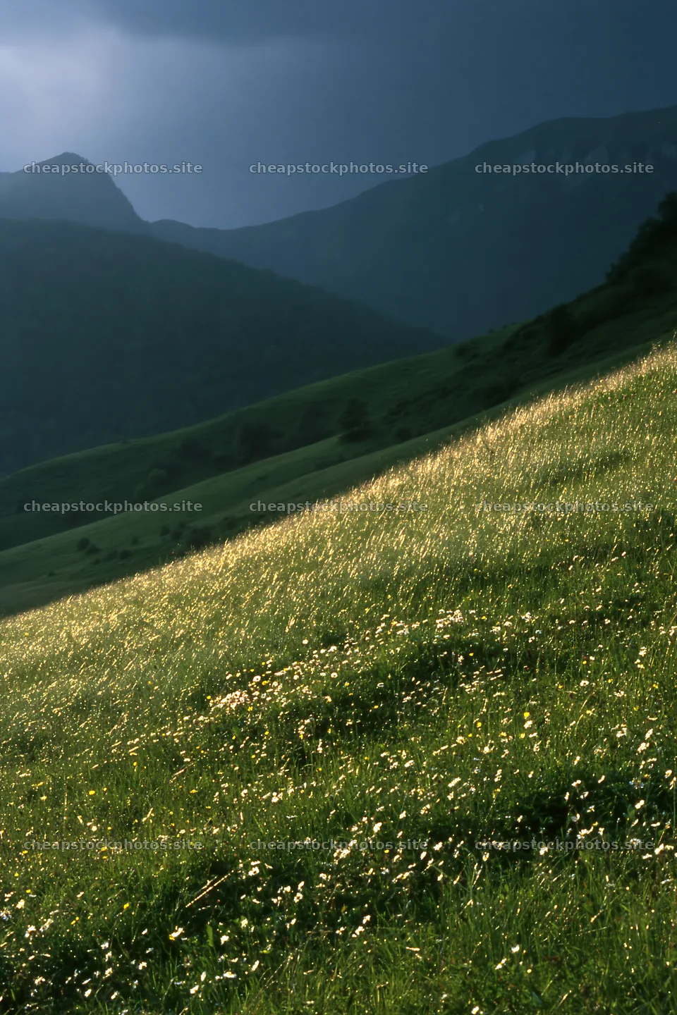 French meadow under the Pyrenees mountains at dusk – stock photos 6480x9722