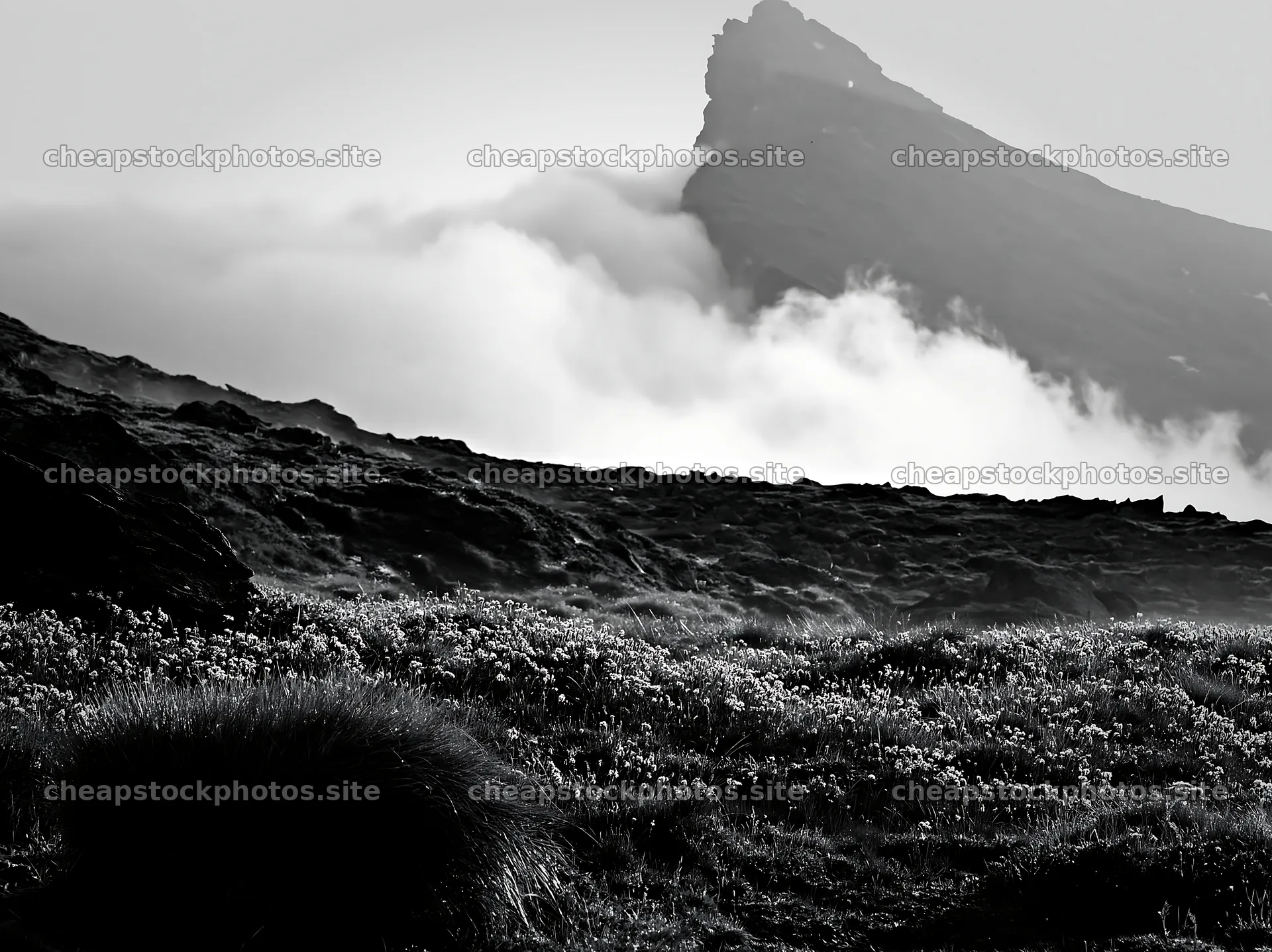 Matterhorn alpine wildflower meadow with clouds in background – stock photos 9174x6866