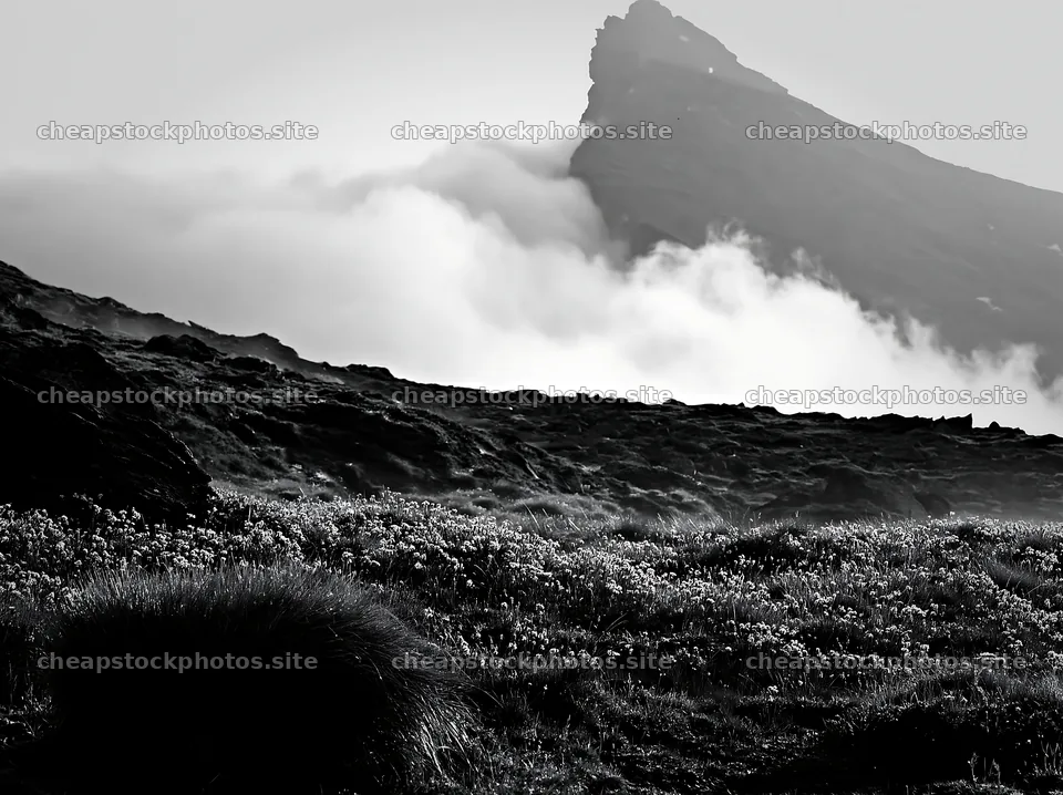 Matterhorn alpine wildflower meadow with clouds in background – stock photos 9174x6866