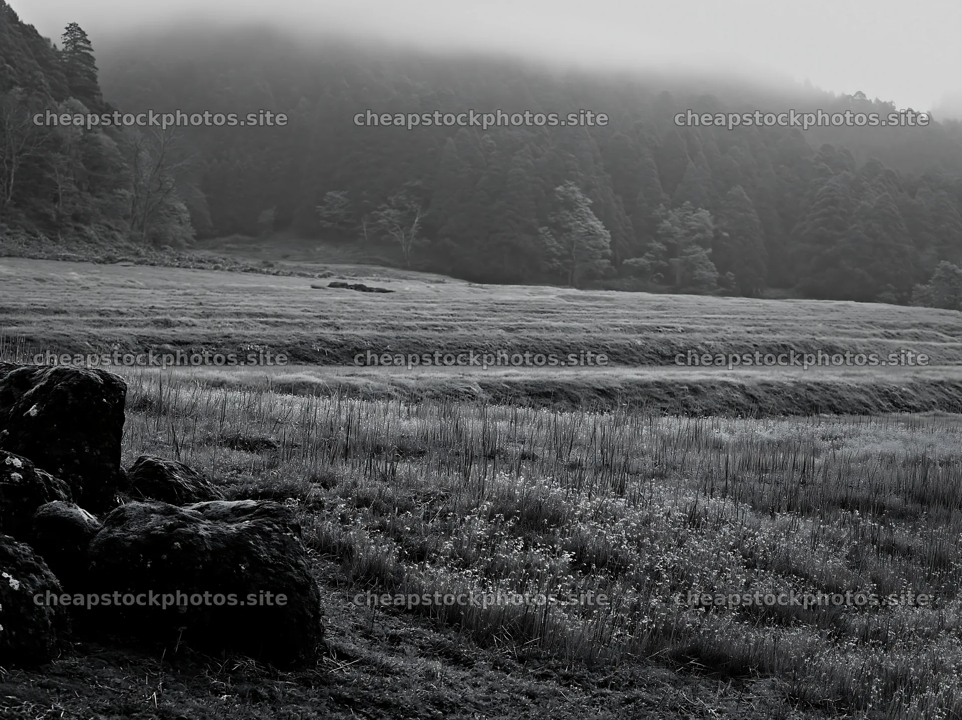 Miyagi spring recovery meadow mossy stone in the landscape – stock photos 9174x6866