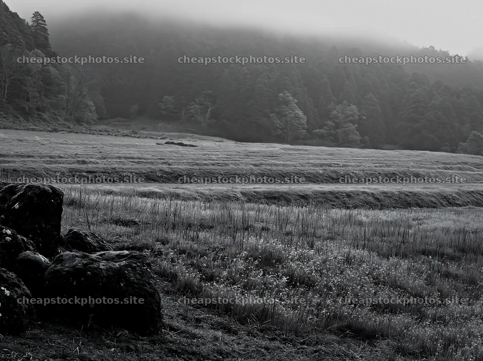 Miyagi spring recovery meadow mossy stone in the landscape – stock photos 9174x6866