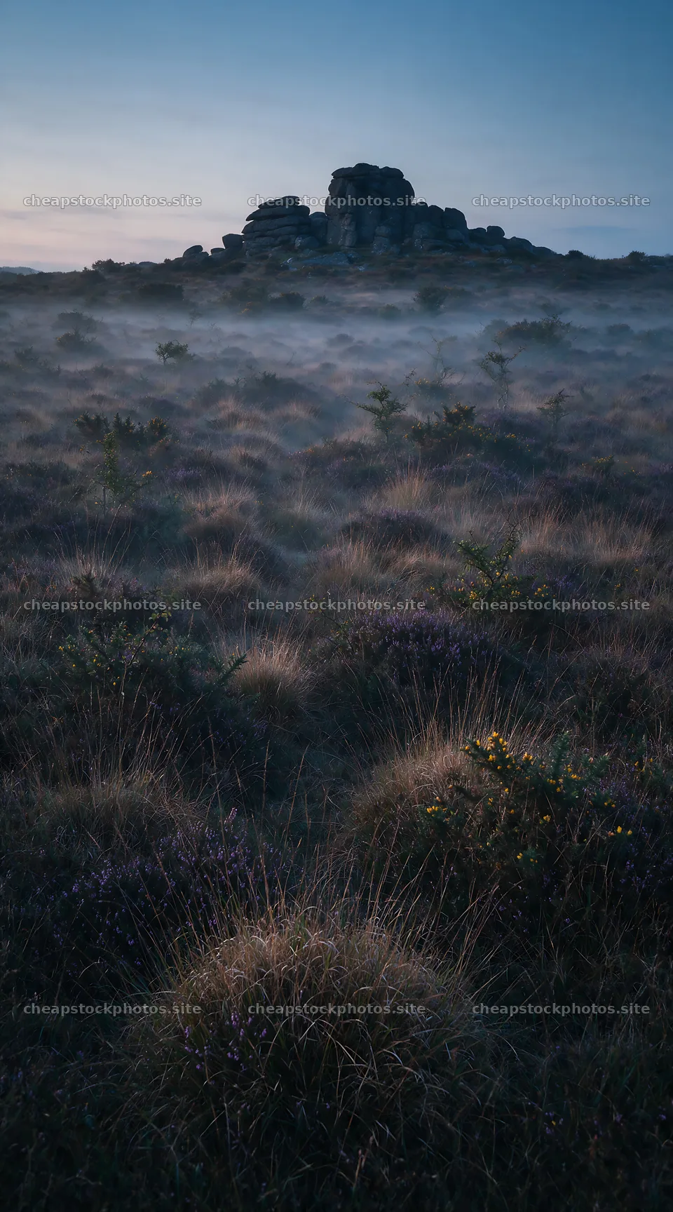 Rewilding meadow showing grass and stones in the distance – stock photos 5916x10648