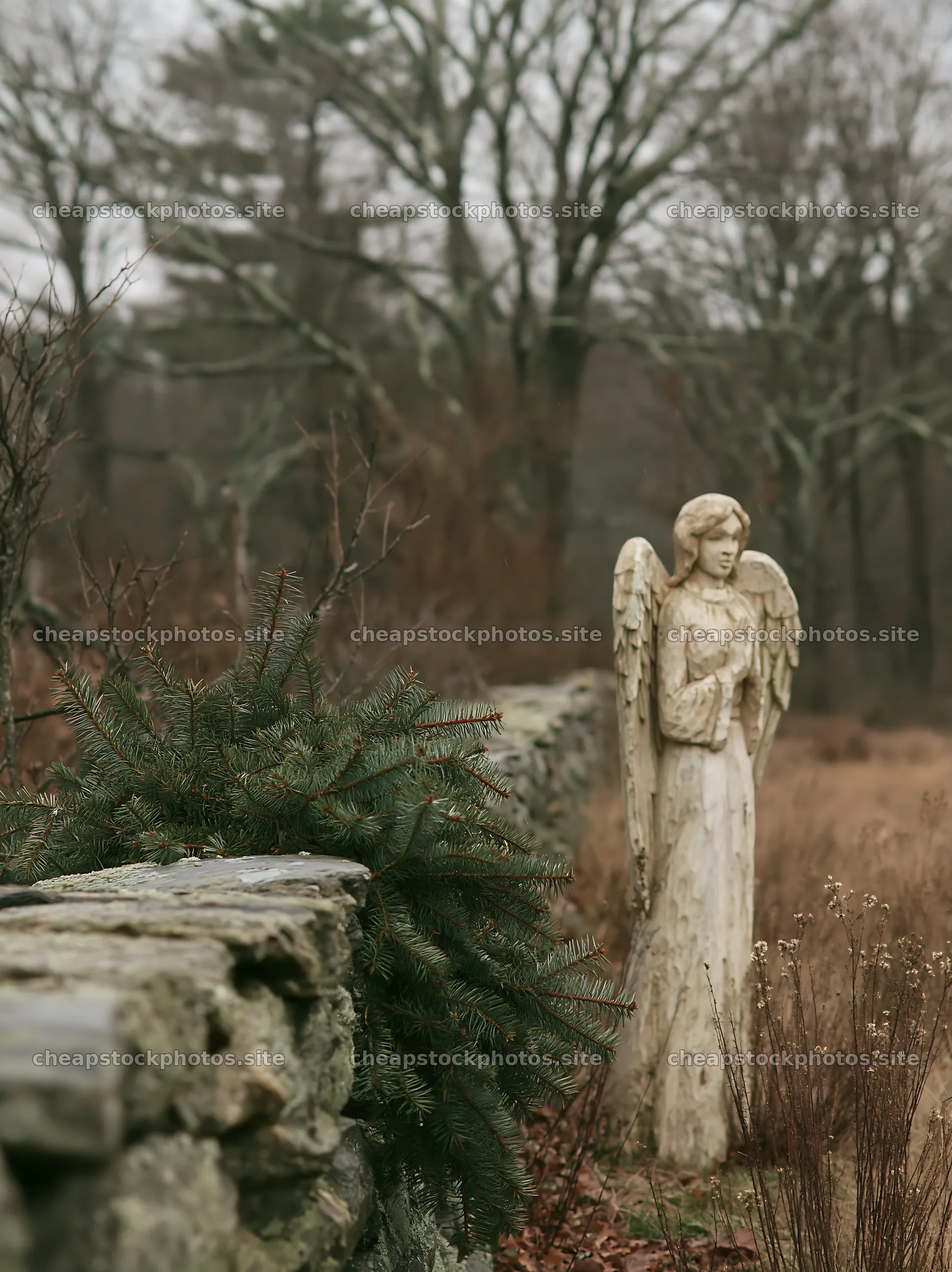 Christmas angel in meadow with stone wall – stock photos 6866x9174