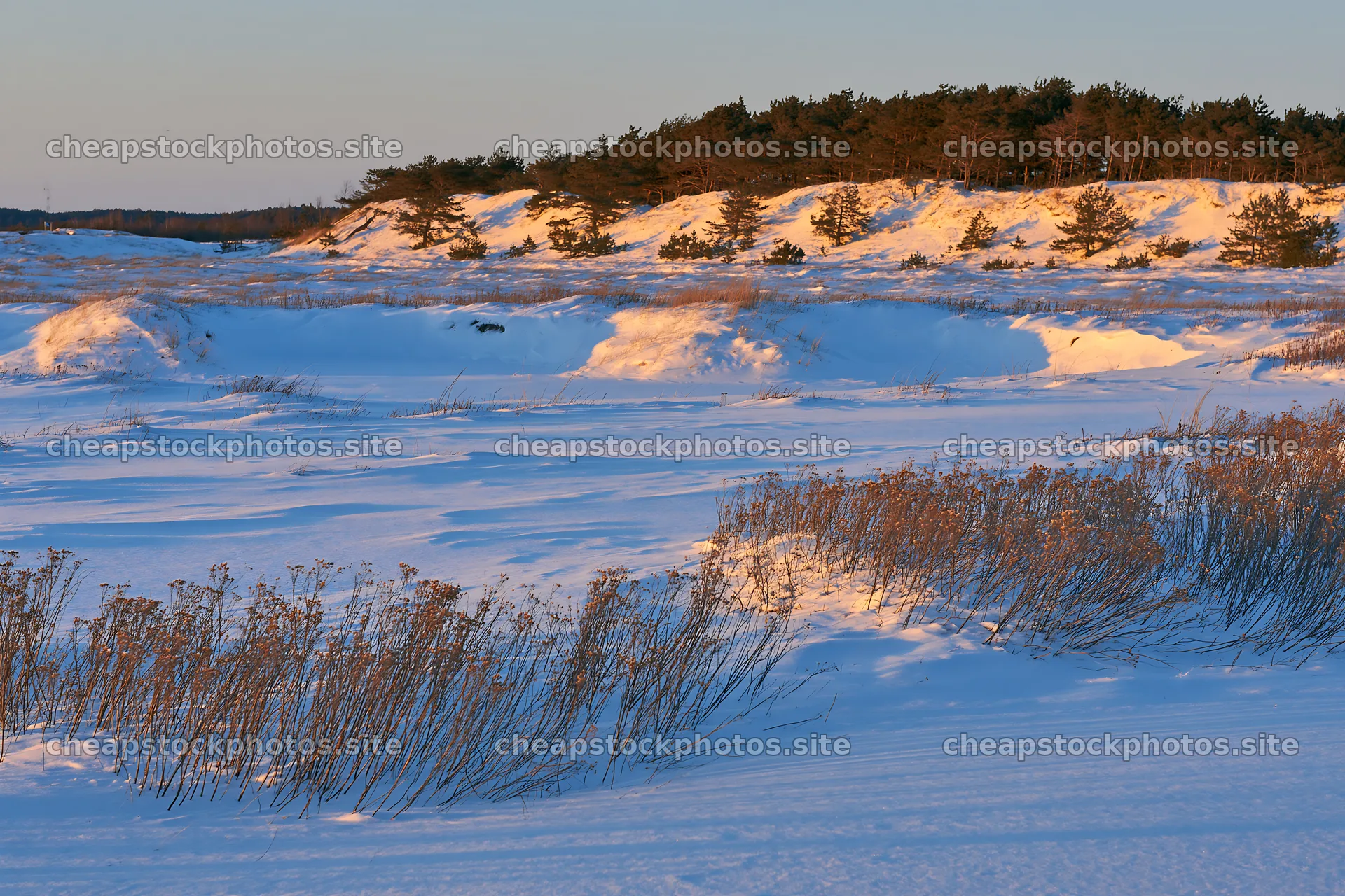 Dune meadow snow under a clear sky at sunset – stock photos 9722x6480