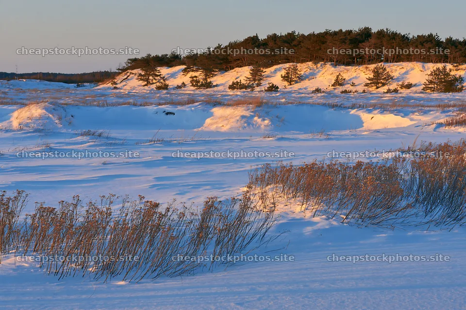 Dune meadow snow under a clear sky at sunset – stock photos 9722x6480