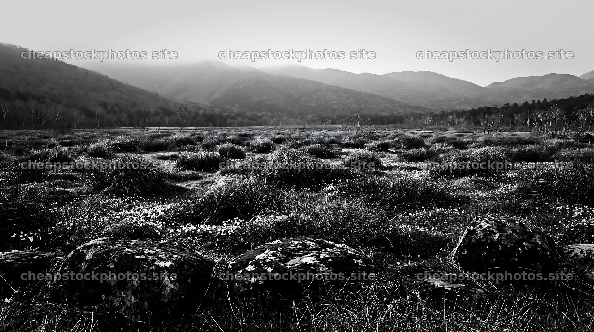 Miyagi spring recovery meadow mossy stone with grassy landscape – stock photos 10608x5938