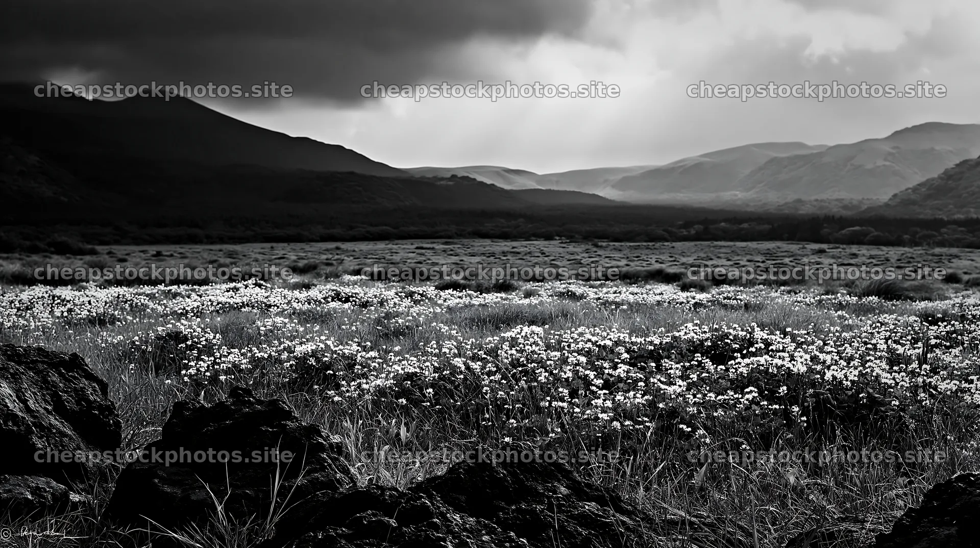 Kumamoto volcanic meadow dark rock foreground with hills – stock photos 10608x5938
